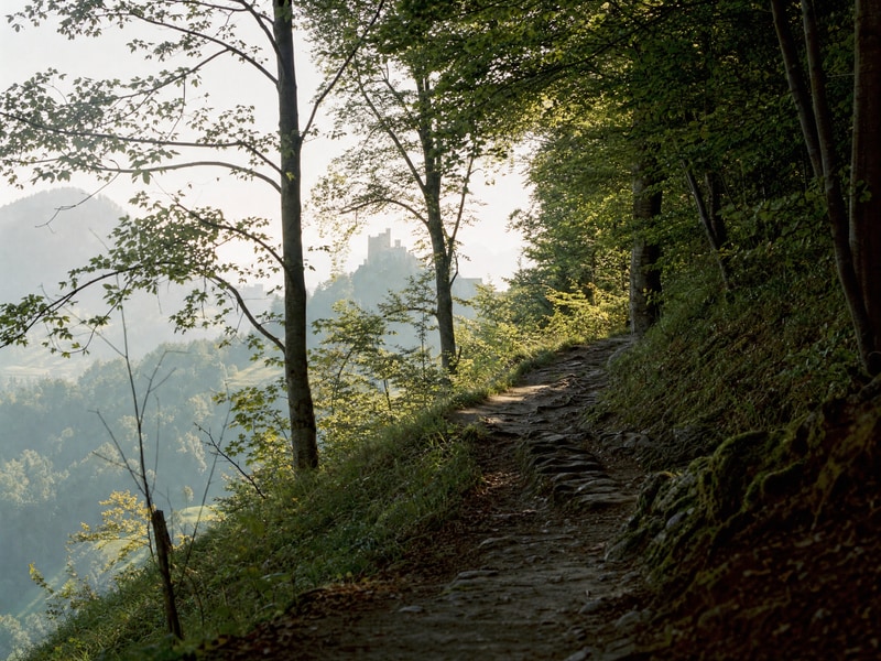 Waldweg hinauf zum Schloss Zeil
