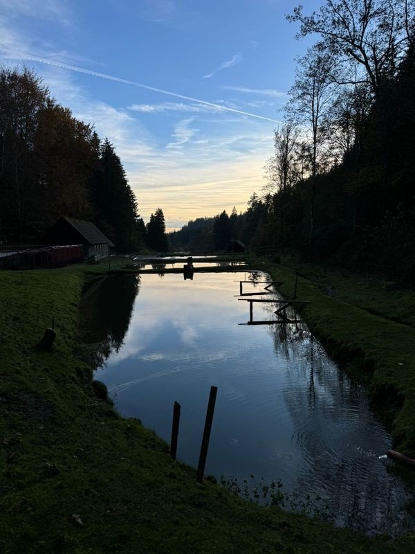 tobel1853 glimpse – daily life at the farmstead