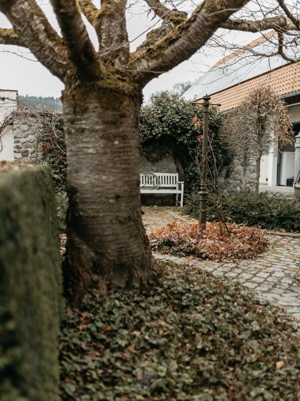 tobel1853 glimpse – at home